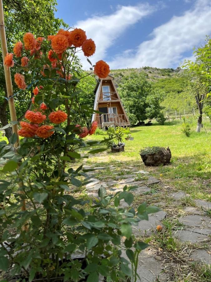 Teo'S Cottages Dedoplis Tskaro Екстериор снимка