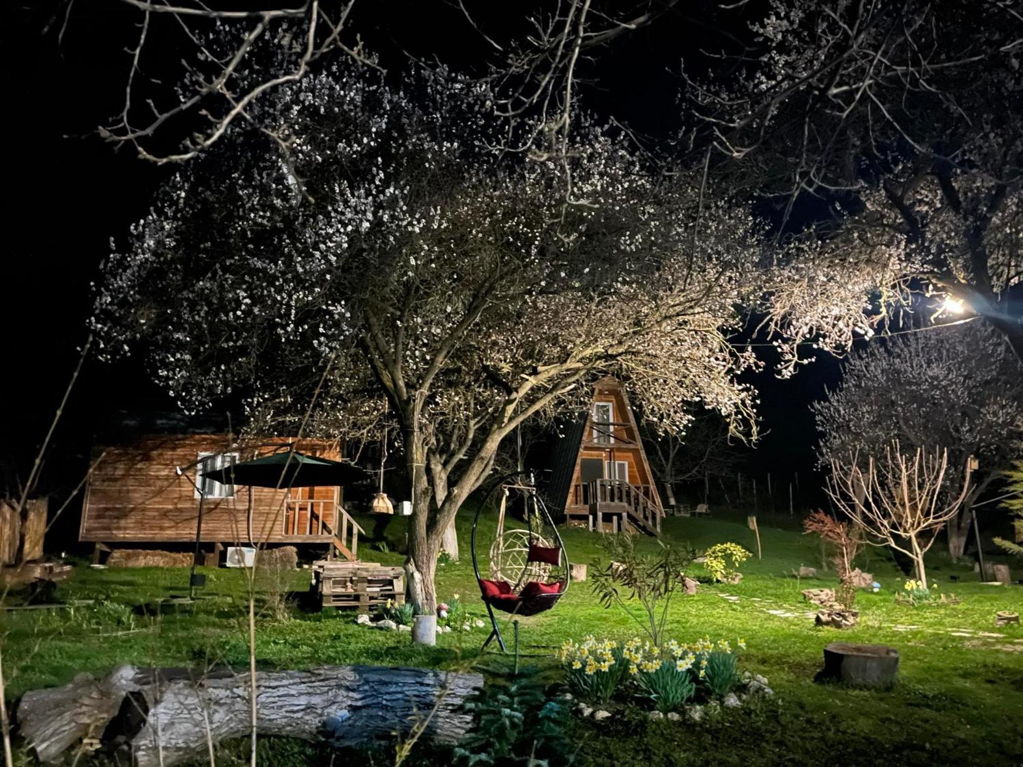Teo'S Cottages Dedoplis Tskaro Екстериор снимка